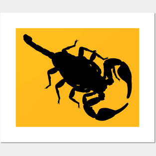 Scorpion Dark Outline Drawing Posters and Art